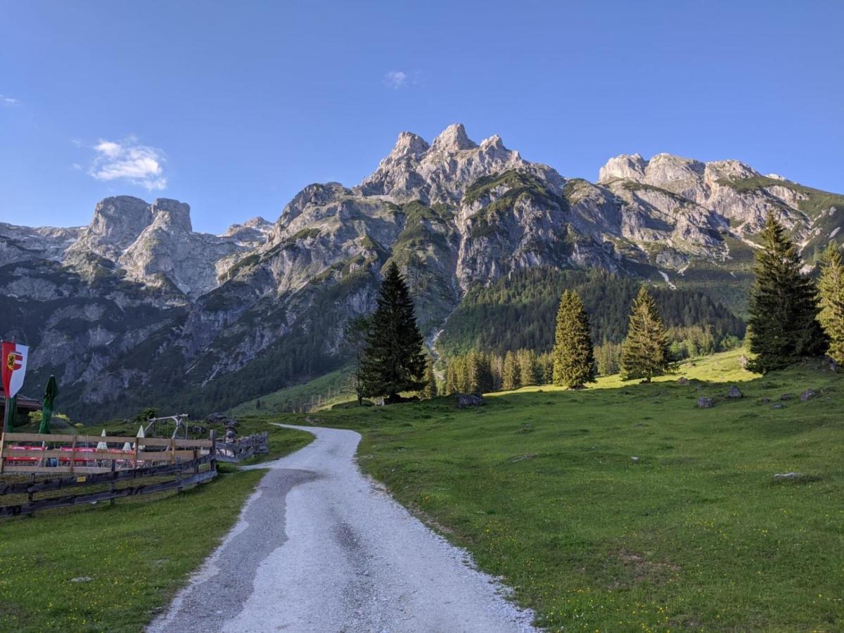 Bio Bauernhof Vorderoberlehen Otel Werfenweng Dış mekan fotoğraf