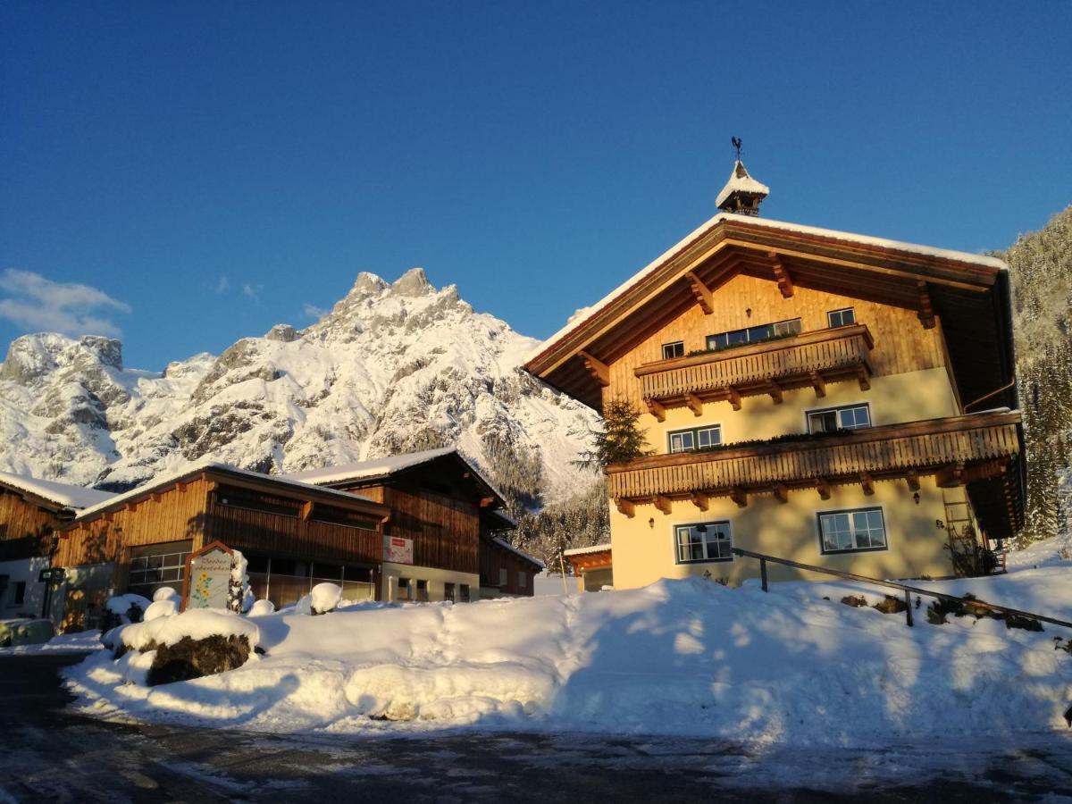 Bio Bauernhof Vorderoberlehen Otel Werfenweng Dış mekan fotoğraf