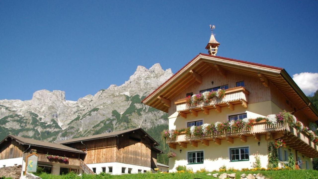 Bio Bauernhof Vorderoberlehen Otel Werfenweng Dış mekan fotoğraf