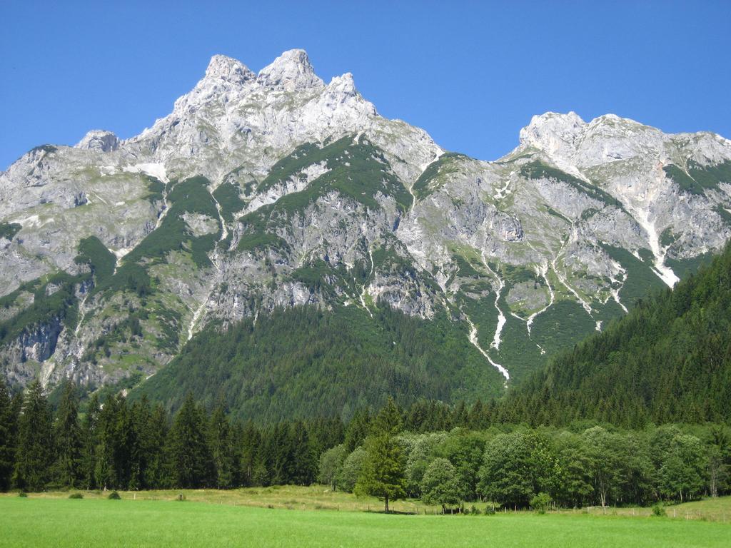 Bio Bauernhof Vorderoberlehen Otel Werfenweng Dış mekan fotoğraf