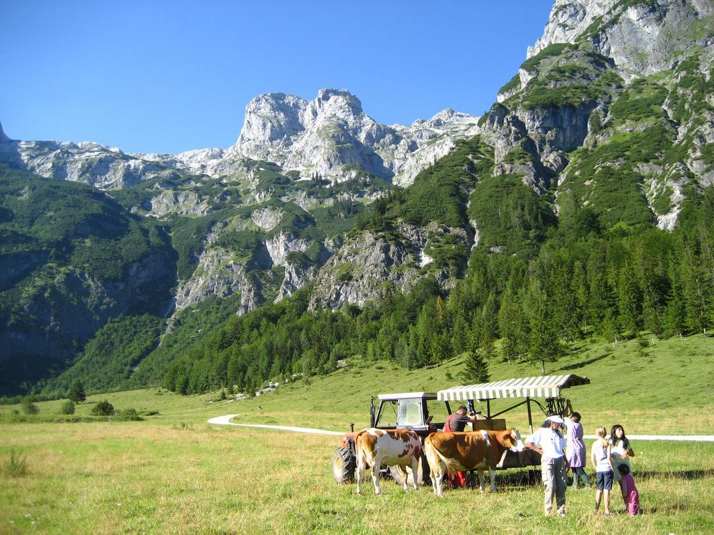 Bio Bauernhof Vorderoberlehen Otel Werfenweng Dış mekan fotoğraf