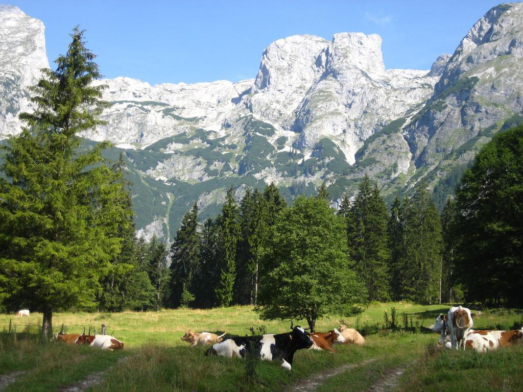 Bio Bauernhof Vorderoberlehen Otel Werfenweng Dış mekan fotoğraf