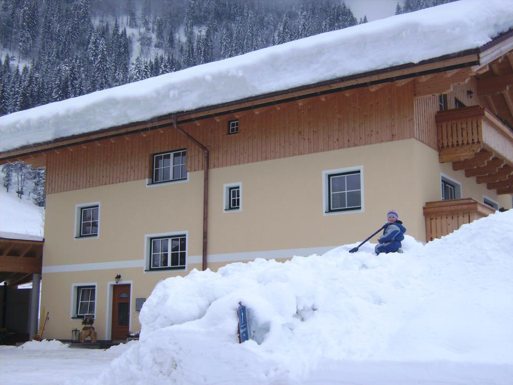 Bio Bauernhof Vorderoberlehen Otel Werfenweng Dış mekan fotoğraf