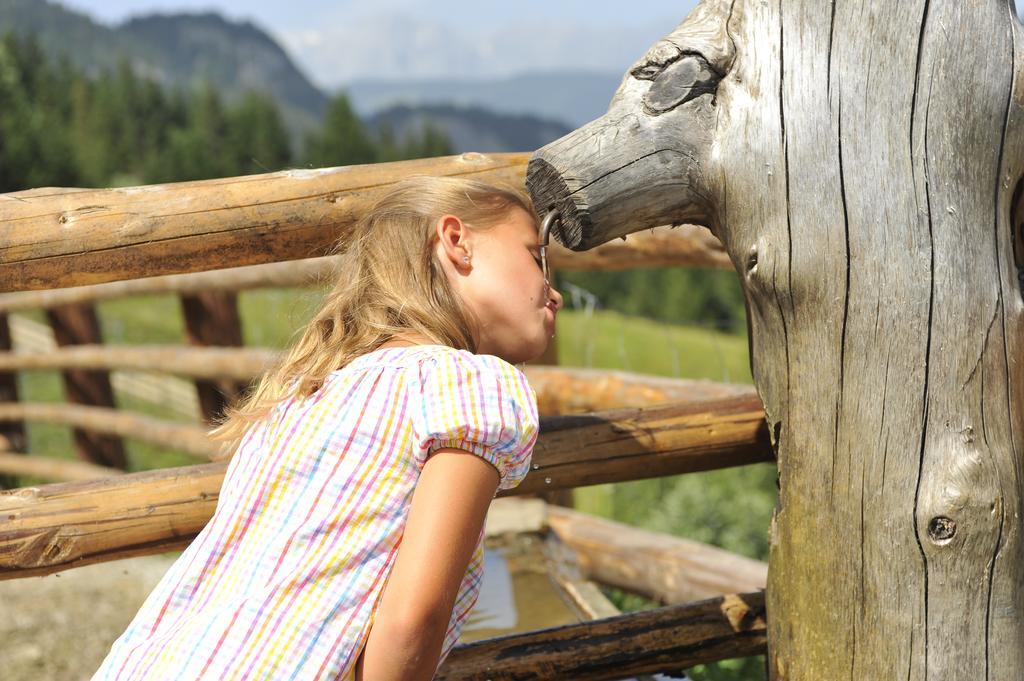 Bio Bauernhof Vorderoberlehen Otel Werfenweng Dış mekan fotoğraf