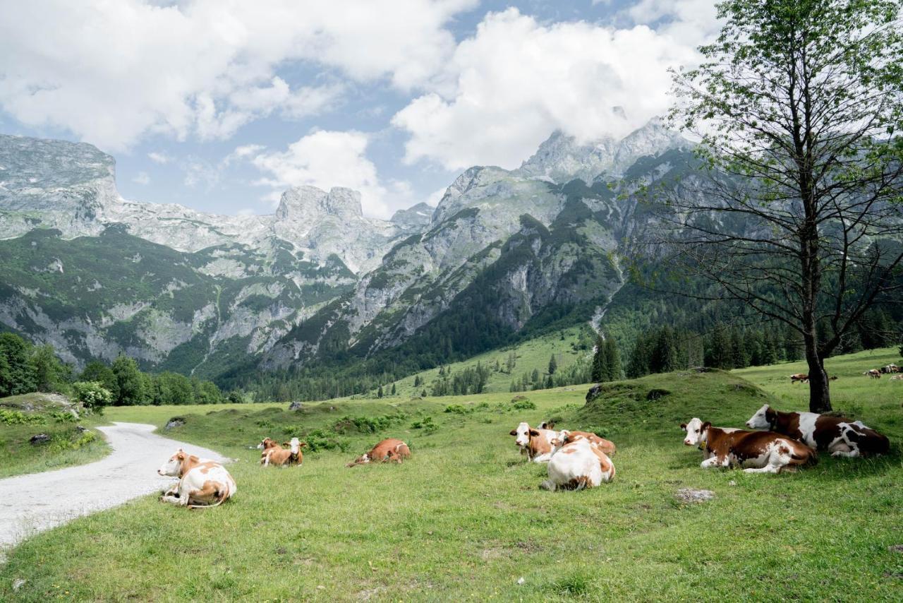 Bio Bauernhof Vorderoberlehen Otel Werfenweng Dış mekan fotoğraf