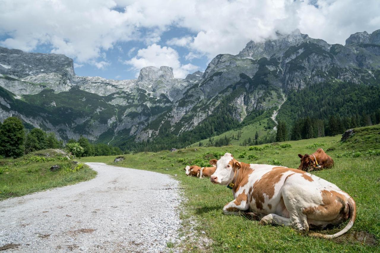 Bio Bauernhof Vorderoberlehen Otel Werfenweng Dış mekan fotoğraf